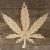 3mm Ply Cannabis Leaf Accurate Single