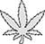 Plain Image Cannabis Leaf Accurate Single