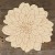 Main Image Dahlia Flower Head