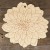 Image TH Dahlia Flower Head