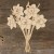 Image TH Daffodil Cut Bunch