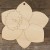 Image TH Daffodil Head Single