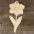 Image TH Daffodil Stem and Head