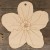 Image TH Forget Me Not Flower Head