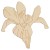 Main Image White No Hole Image Iris Flower Head