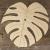 Image CH Monstera Deliciosa Leaf