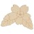 Main Image White No Hole Image Primrose Flower Head and Leaves Accurate