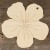Image TH Poppy Flower Head