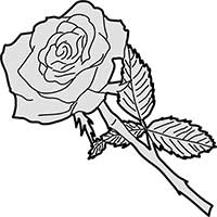 Rose with Stem and Leaf Main Image