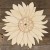 Image CH Sunflower Head