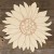 Main Image Sunflower Head
