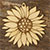 3mm Ply Sunflower Head