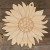 Image TH Sunflower Head