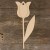 Image TH Tulip Flower with Stem