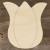 Main Image Tulip Head