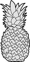 Pineapple Fruit Whole Main Image