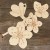 Image TH Cherry Flowers on a Branch