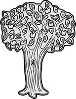Apple Tree with Detail Main Image