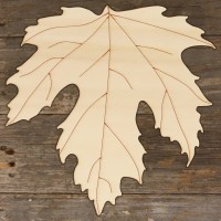 Maple Sycamore Leaf Acer Pseudoplatanus Main Image