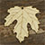 3mm Ply Maple Sycamore Leaf Acer Pseudoplatanus