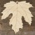 3mm Ply Maple Sycamore Leaf Acer Pseudoplatanus