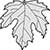Plain Top Hole Image Maple Sycamore Leaf Acer Pseudoplatanus