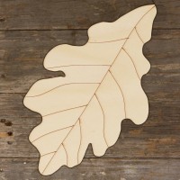 Oak Leaf European Quercus Robur