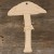 Image TH Mushroom Galerina Marginata Side on
