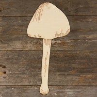 Mushroom Psilocybe Fimetaria Main Image