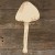 Main Image Mushroom Psilocybe Fimetaria