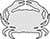 Plain Image Crab Cancridae Top View