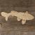 Main Image Koi Carp Swimming E