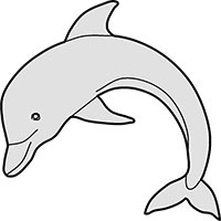 Dolphin Turning Main Image