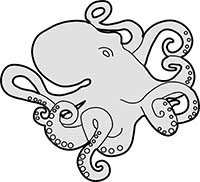 Octopus Hunting Main Image
