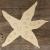 Main Image Comic Starfish Style A