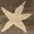 Image TH Simple Comic Starfish Style A