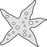 Simple Comic Starfish Style A Main Image
