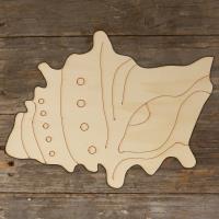 Sea Shell Coral Acurate Main Image