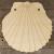 Image 2T Sea Shell Scallop Acurate