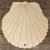 Image BH Sea Shell Scallop Acurate