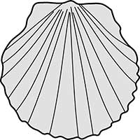 Sea Shell Scallop Acurate Main Image
