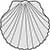 Sea Shell Scallop Acurate - view 1