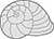 Main Image Sea Snail Shell
