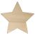 Main Image White No Hole Image Star Plain Standard 5 Pointed